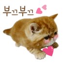 뽄새 이미지