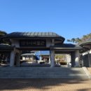 대가야반점 이미지