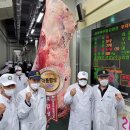 푸른 한우농장 이미지
