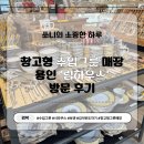 몽코지 | [용인] 창고형 수입그릇 매장 ‘림하우스’ 방문 및 구매후기(시라쿠스, 보겐, 온도 하늘이야기)