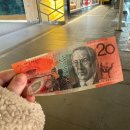 마사이워킹엘베테 영통점 | 호주워홀 3개월차 일상기록 주간일기