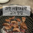 찬우물1공영주차장 | [과천 맛집] 서울대공원 맛집 점심 과천 꽃갈비살 맛집 가족 외식 추천