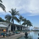 (수)앵거스 키친 | 나트랑 미아리조트 레스토랑, 키친바이더씨 블랙앵거스 버거 내돈내산 솔직후기