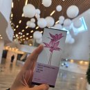 구름따라 그곳에가면 | [마곡] 서울식물원 - 겨울데이트, 가족 나들이, 간단 후기