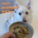 나무까까 | 🐕‍🦺나무까까 강아지 캥거루 화식 2종(고구마/단호박) 급여 후기! ✨