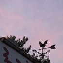 통영로즈힐펜션 이미지