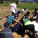 수일초교 이미지