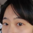 꼬숑 살롱