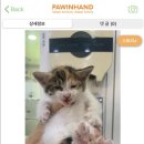 짱구네동물병원 이미지