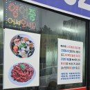 오렌지 애견 클럽 이미지