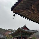 몸과 마음을 위한 건강식탁 | 내 일상을 궁금해하는 그녀를 위한 나의 4월
