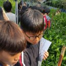 도순농장 이미지