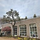 그린애견 이미지