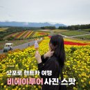 ㈜더쎄븐렌트카 | 삿포로 가을 | 비에이 투어 렌트카여행 코스 사진스팟 추천