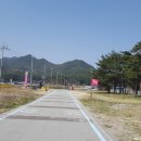 회3리 폐비닐 집하장 옆 | 해파랑길 35코스 - 여성수련원에서 심곡리 , 부부가 걷는 해파랑길 137