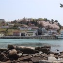 장군도
