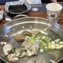 맘스터치속초점 이미지