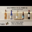 데일리샷 5월 공동구매 라인업 총정리! 3천원 할인코드 TG8EV (와인 평점, 사케, 위스키 후기)