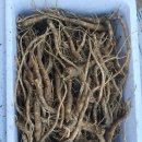 수골 농장 이미지