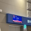 다찌스테이 | 하코다테 | 하코다테 로프웨이 전망대 | 도큐스테이 하코다테 | 럭키삐에로 | 몬치치 인형 | 야키토리곤...