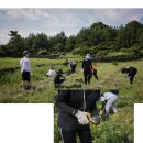 신우석 농장 네이버블로그