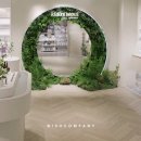 더위시컴퍼니 이미지