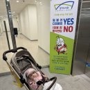 경기도립 평택도서관 | 경기도서관 후기/수원도서관/광교도서관/아기랑도서관/도립도서관/아기랑갈만한곳