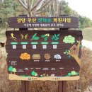 우산생태숲 이미지