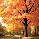 고된 하루 보내고 이미지