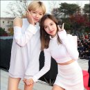 정연