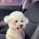 서천레스피아공원 이미지