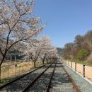 청도숯불갈비 이미지