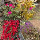 심거계곡펜션 | 부산 울산 근교 가성비 촌캉스 숙소 추천 구들장쉼터펜션/ 가지산과 계곡이 있는 감성숙소