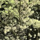 땡구야놀자 이미지