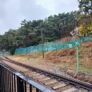 관광 이미지를 흐리는 해변열차 기찻길 옆 텃밭들을 정비하자 이미지