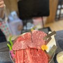 돌산동물병원 | 오산 동탄 분위기 좋은 최상급 한우 투쁠 맛집 우도 내돈내산 후기
