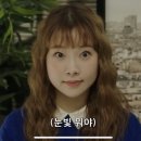 또리와 아로 네이버블로그