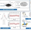 서울전자메디칼 뉴시스