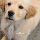 대관령 가축병원 이미지