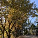 민둥산산마루시루봉펜션 이미지