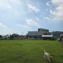 하이, 멍 이미지