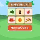 혜님농장 네이버블로그