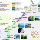 8월23(일) 변산반도 붉노랑상사화둘레길,격포항 이미지