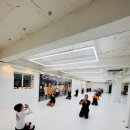 엘리트체육관 | 대구노기주짓수 체인그래플링 🥋 엘리트 선수와 함께한 특별 수업 후기