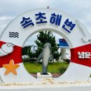 속초항아리물회 이미지
