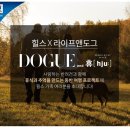도그휴 네이버블로그