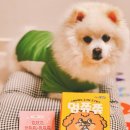 피피 소개 &amp; 펫라벨 멍쮸쮸 참치맛 후기