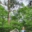 제주 스카이워터쇼 이미지