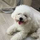 백산메디칼 이미지