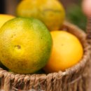 미래로농장 이미지